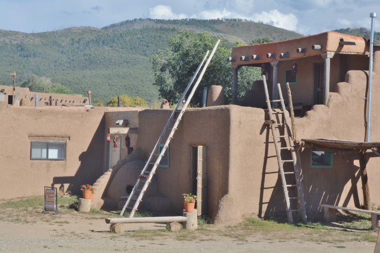 house with ladders 